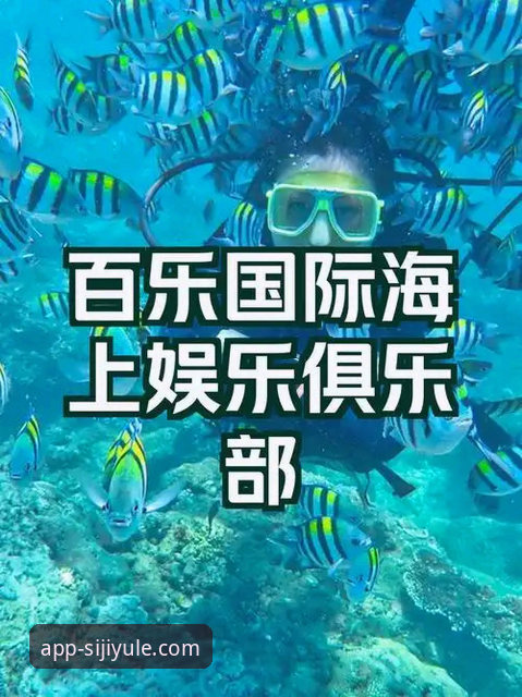 四季娱乐平台深度评测：老用户带你全面了解官方下载与使用体验
